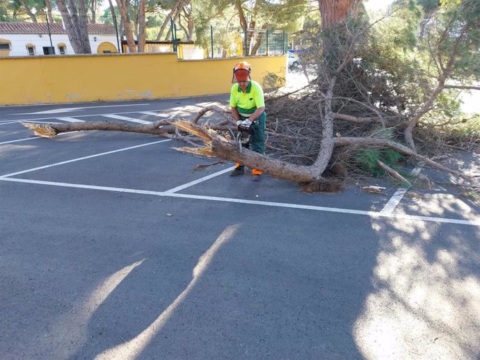 El Ayuntamiento de Marbella atiende más de 60 incidencias por las fuertes rachas de viento la pasada noche.