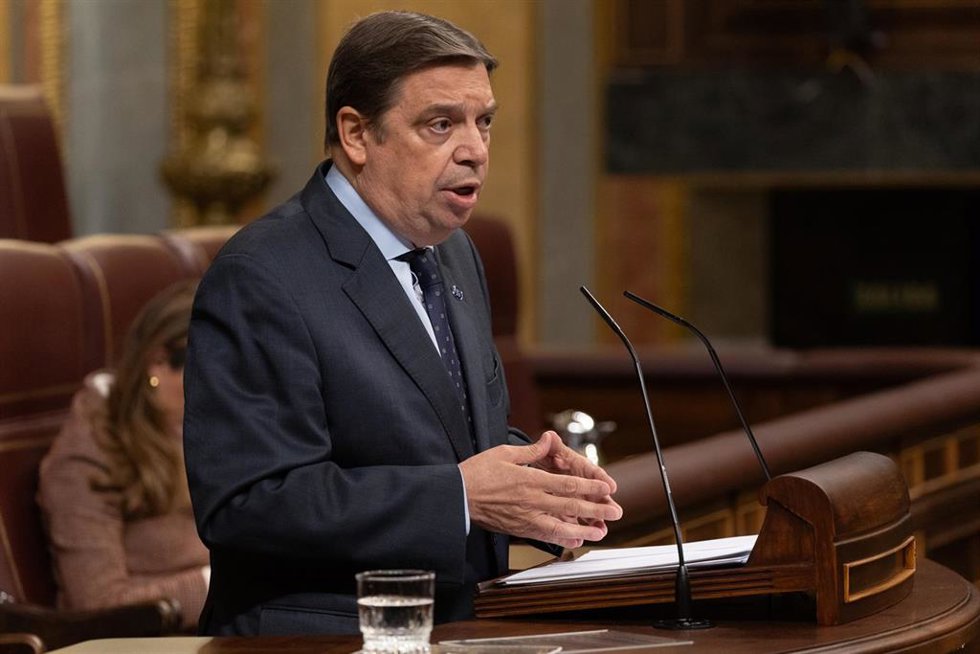 El ministro de Agricultura, Pesca y Alimentación, Luis Planas
