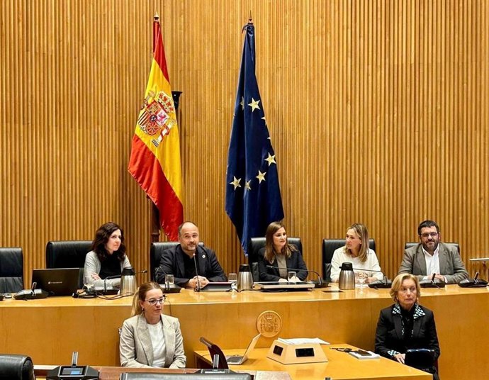 Mesa de la Comisión mixta Congreso-Senado sobre insularidad.