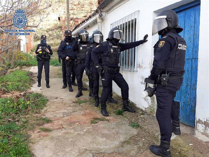 Desmantelada una plantación ilegal de marihuana con 300 plantas para ser vendidas en estas fiestas navideñas en Arnedo