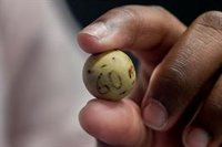 El 86.007, quinto premio, vendido en un local de la calle 31 de Diciembre donde juega una peña de 34 personas