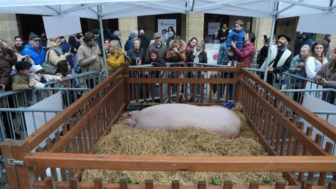 Feria de Santo Tomás