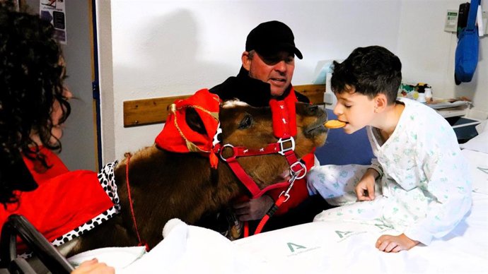 Un pequeño ingresado en el Hospital Juan Ramón Jiménez comparte una galleta con uno de los caballitos que han acudido a recoger las cartas a los Reyes Magos, como sus pajes.