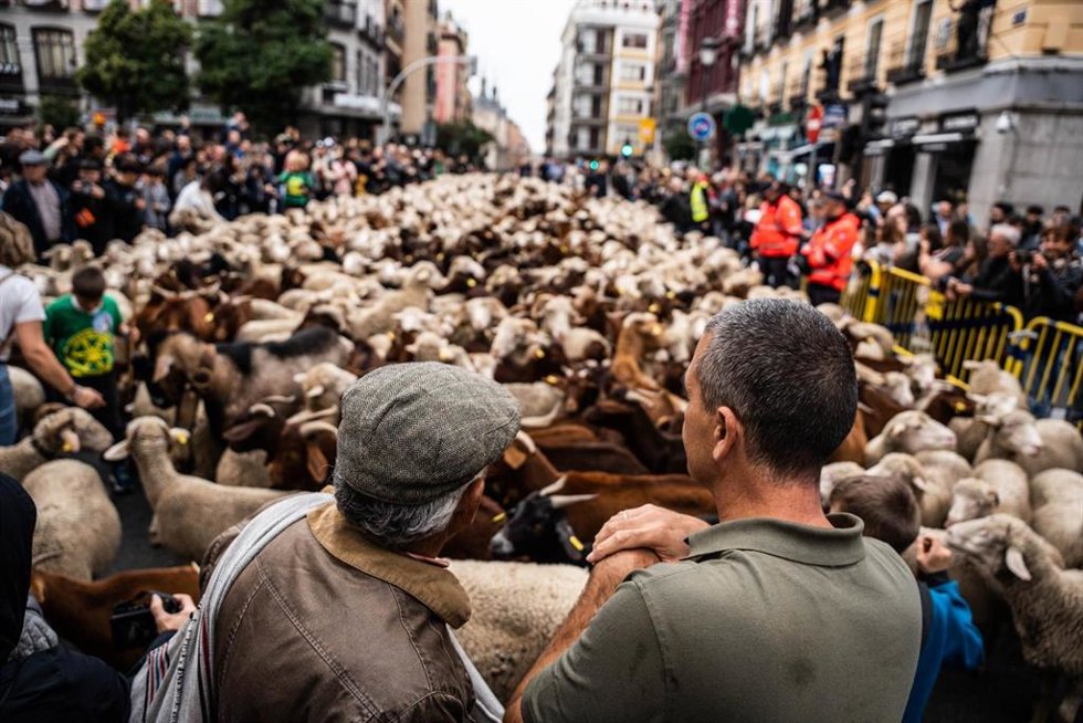 Archivo - La Fiesta de la Trashumancia en Madrid