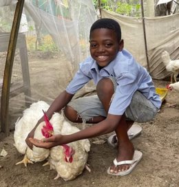 Las gallinas son un gran regalo para una familia que lucha contra la pobreza. Las gallinas se reproducen fácilmente y los huevos pueden comerse, venderse o incubarse. Es uno de los regalos solidarios que propone World Vision para esta Navidad
