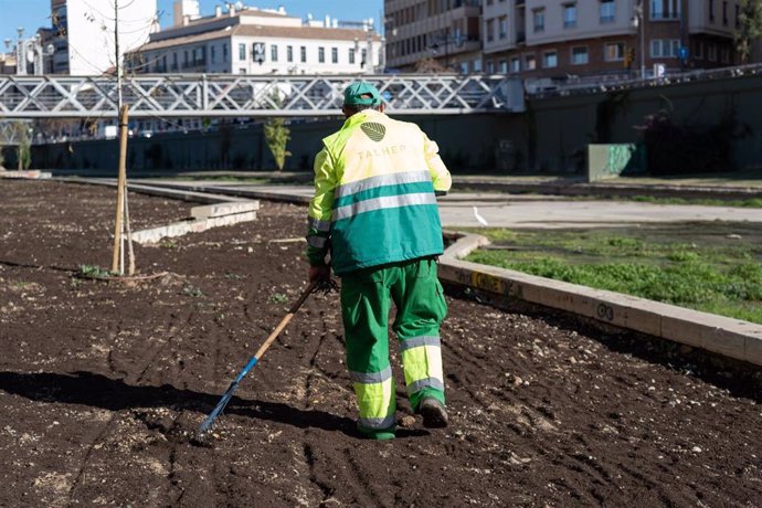 El Ayutamiento de Málaga completará con praderas la zona verde y ajardinada en el último tramo del Guadalmedina