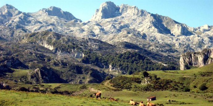 Picos de Europa
