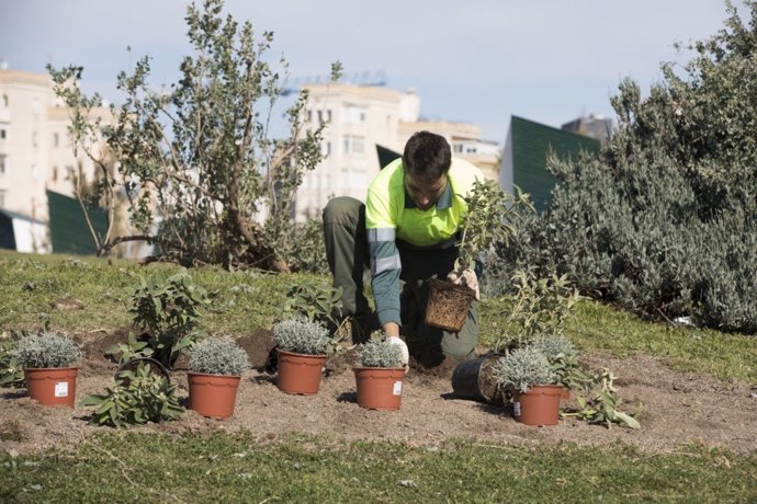 Parcs i Jardins de Barcelona convoca 75 places per reforçar la plantilla