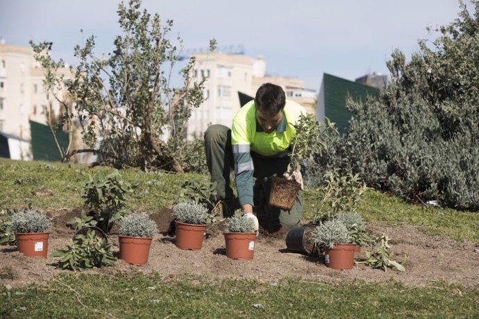 Parcs i Jardins de Barcelona convoca 75 places per reforar la plantilla