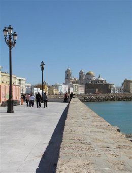 Archivo - Campo del Sur de Cádiz