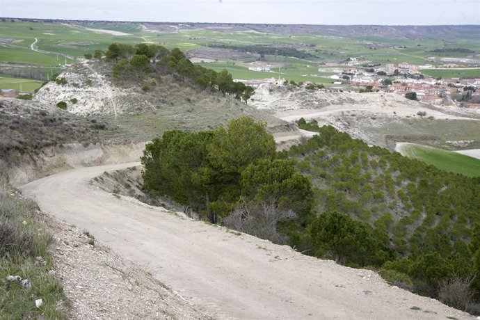 La Diputación invierta en la mejora de los caminos rurales de 48 pueblos de Palencia.