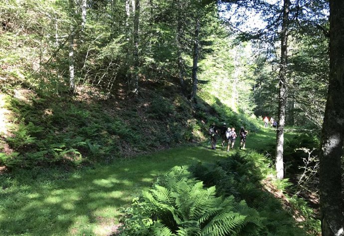 Archivo - Senderismo, marcha nórdica, paisaje de montaña