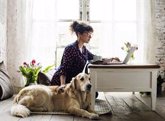 Foto: Los adultos que viven solos con una mascota tienen menor deterioro cognitivo
