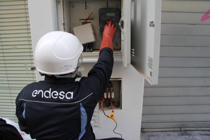 Técnico de Endesa revisa una instalación