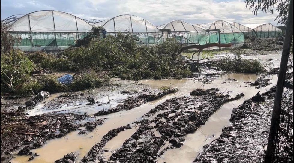 Archivo - Uno de los invernaderos de Chipiona arrasados por un temporal en una imagen de archivo.