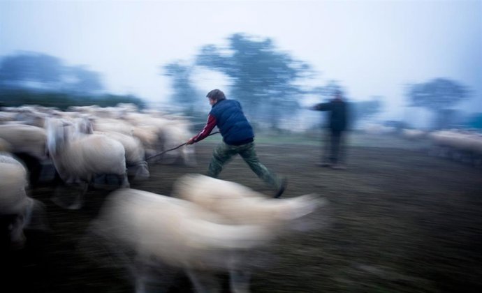 Ganadería, mundo rural, Andalucía.