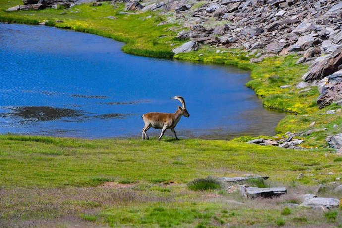 Archivo - Imagen tomada en la Laguna de Aguas Verdes