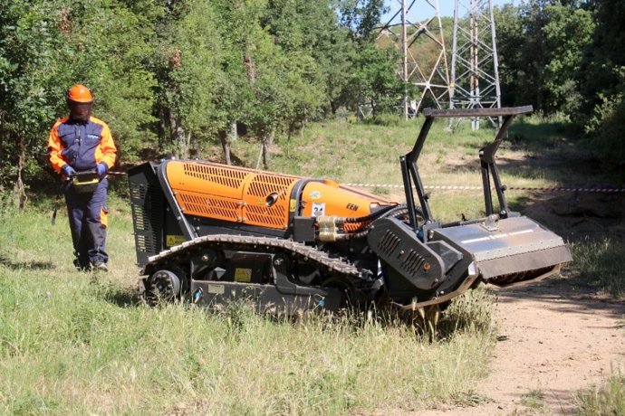 Trabajos de tala y poda en Sant Celoni (Barcelona)