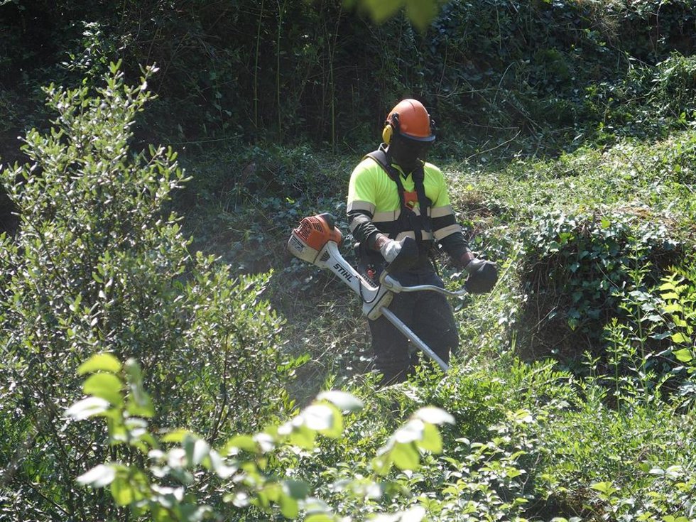 Un trabajador realiza labores de tala y poda de las masas forestales que rodean la red de distribución eléctrica de Endesa