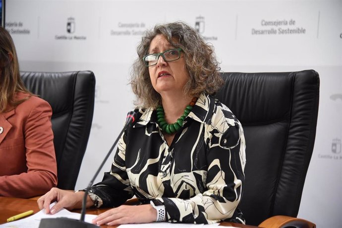 Archivo - La consejera de Desarrollo Sostenible, Mercedes Gómez.