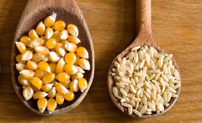 Cereales, semillas, comida, exportaciones
