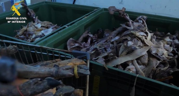 Vídeo de la noticia