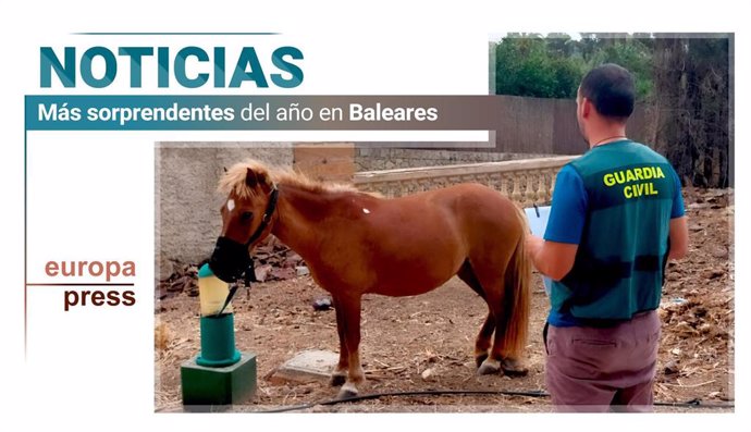 Un secuestro de un poni, cuadros perdidos y un intento de fuga: las noticias más sorprendentes del año 2023 en Baleares.