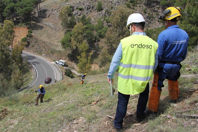 Endesa prevé más de mil empleos al año para la tala y poda en líneas eléctricas en Andalucía.