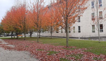 Seis meses de cárcel a una mujer que entró sin consentimiento a por sus hijos a casa de la pareja de su exmarido