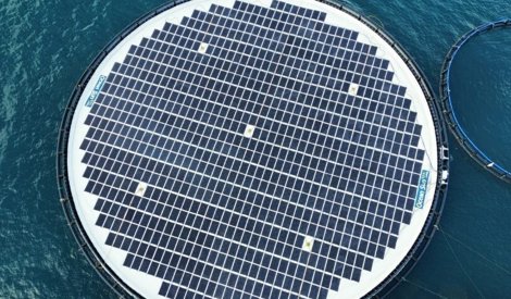 Comunicados Internacional