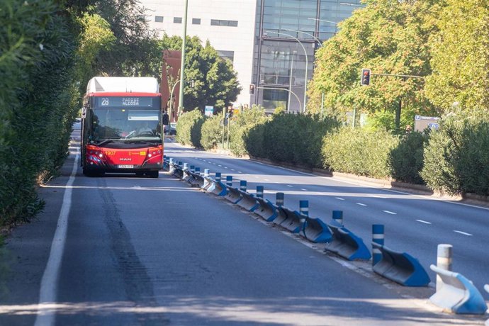 Archivo - Autobús de Tussam circula por donde aun no han eliminado los separadores del carril bus, a 17 de agosto de 2023, en Sevilla, (Andalucía, España). 