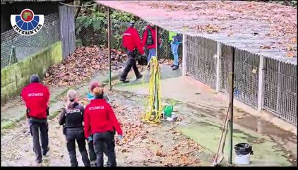 La Ertzaintza investiga a dos personas tras constatar anomalías en un albergue animal de la comarca del Bidasoa