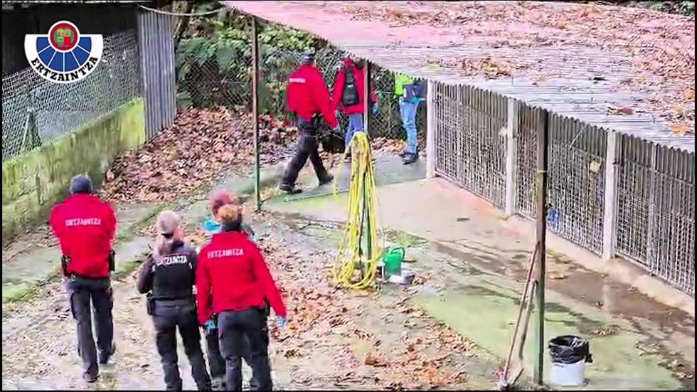 Operación un un albergue animal en la comarca del Bidasoa