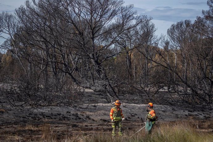 Archivo - Bomberos frente a la vegetación afectada por el incendio forestal declarado en el Saler, a 23 de octubre de 2023, en imagen de archivo