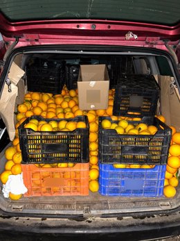 Kilos de naranjas recuperados tras ser robados.