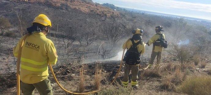 Efectivos del Infoca trabajan en el incendio forestal de Mijas