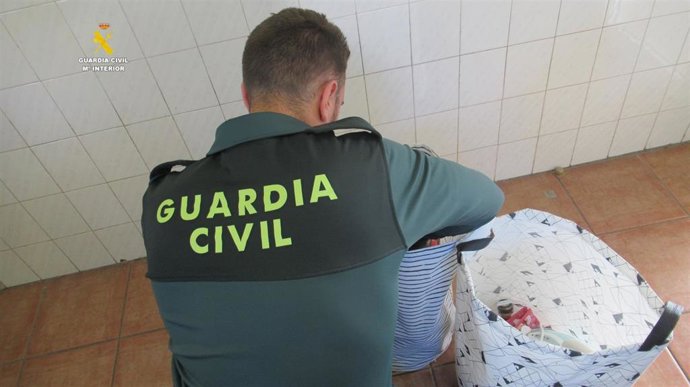 Remitiendo Nota De Prensa