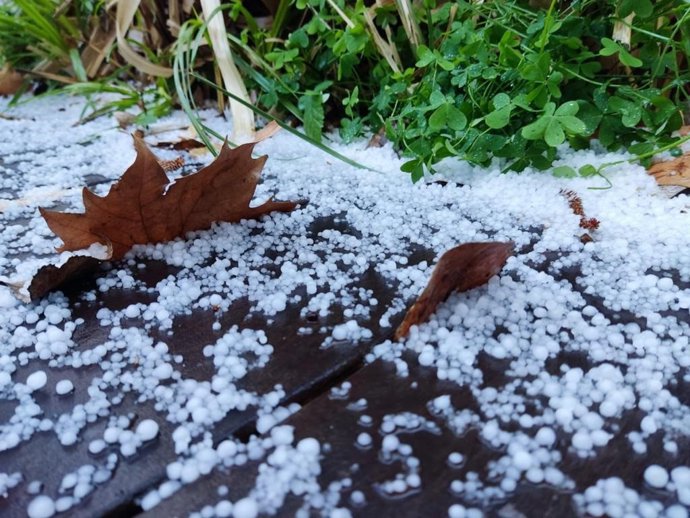 Archivo - Hojas de un árbol entre escarcha y hielo. Recurso. Archivo.