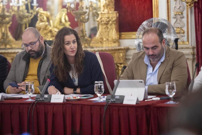 Archivo - Imagen de archivo de Paula Conesa en el pleno de la Diputación de Cádiz