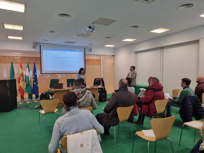 La diputada de Cohesión Territorial durante la última sesión informativa sobre el Plan Más Sevilla