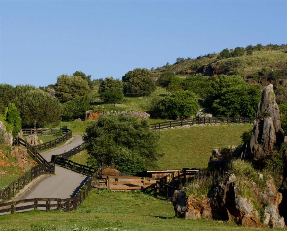 Archivo - Parque de la Naturaleza de Cabárceno.- Archivo