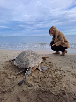 Salomé Pradas durante el momento de liberar a la tortuga