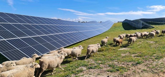 Archivo - Instalación solar fotovoltaica