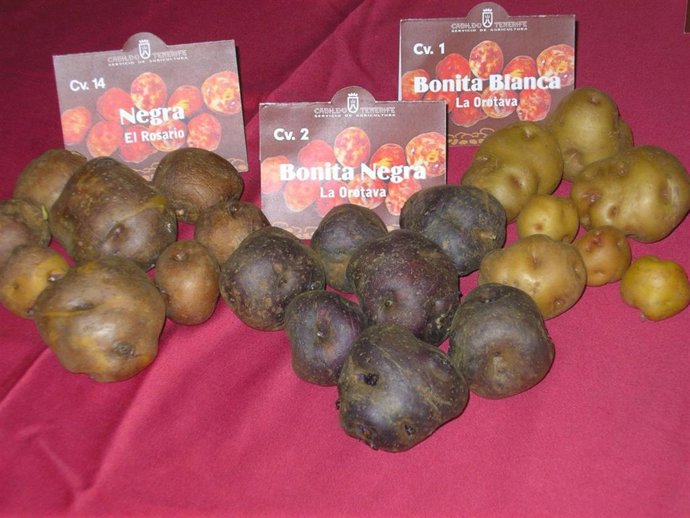 Papas antiguas de Tenerife