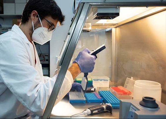 Archivo - Los grupos de investigación que desarrollan su actividad científica en el sistema andaluz del conocimiento alcanzan ya una cifra récord en la comunidad de 2.474, tras sumar 65 nuevos y apuntarse un incremento del 2,7%.