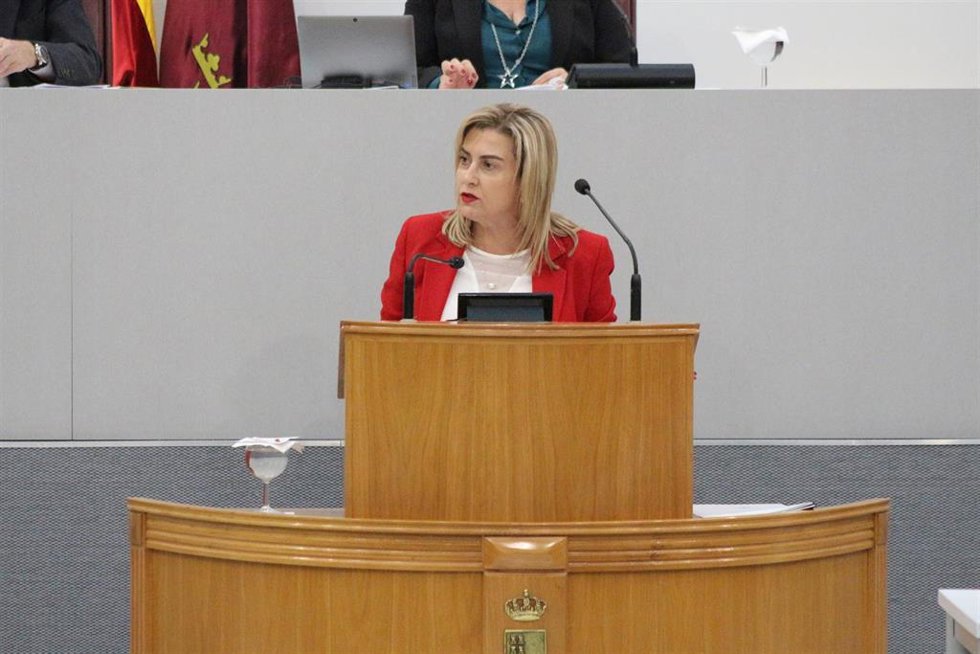 La viceportavoz del Grupo Parlamentario Socialista, Carmina Fernández