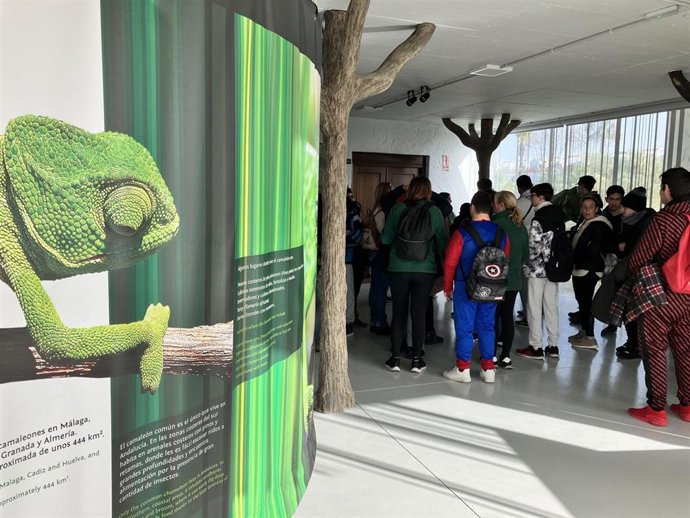 Centro de Interpretación de la Naturaleza y el Litoral El Camaleón en Chipiona
