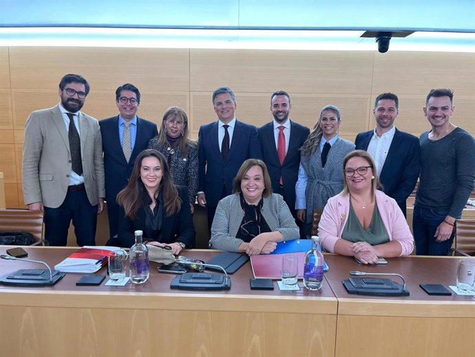 Grupo Insular del PSOE en el Cabildo de Tenerife