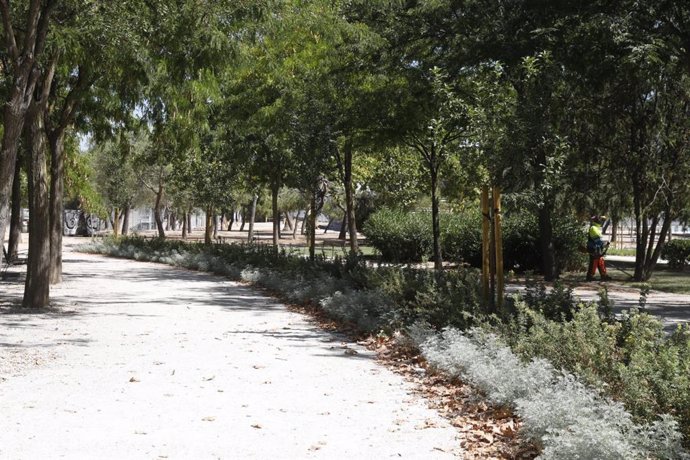 Archivo - Finaliza la primera fase de la rehabilitación del parque de Las Cruces tras una inversión de 1,5 millones