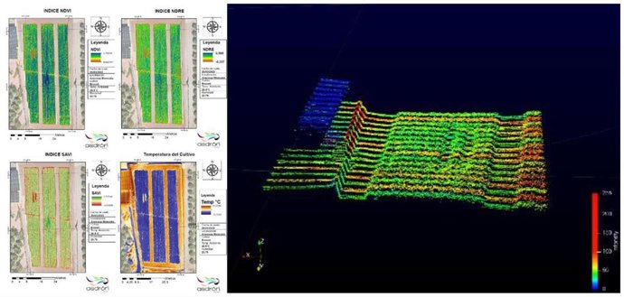 La Generalitat financia el desarrollo de un sistema de riego de precisión que analiza el estado de cada planta para evitar el desperdicio de agua